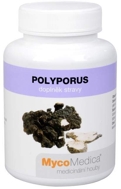 Mycomedica Polyporus Choroš