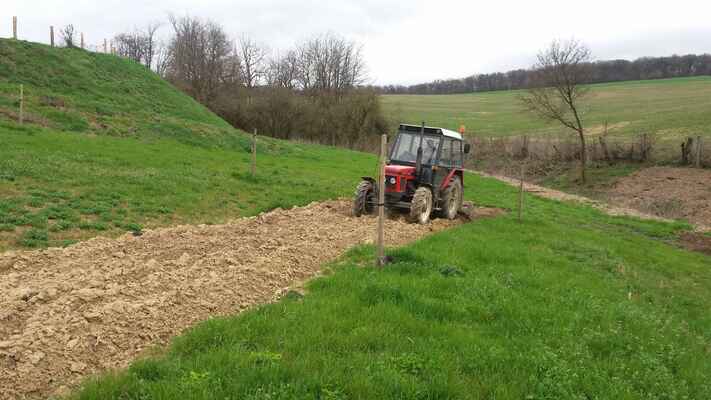 Na farmě se připravuje pozemek na sázení brambor.