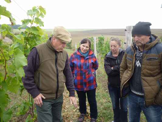 Podzimní Den otevřených dveří věnovaný ekologickému vinohradnictví a vinařství.