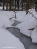 potok - zamrzlý potůček