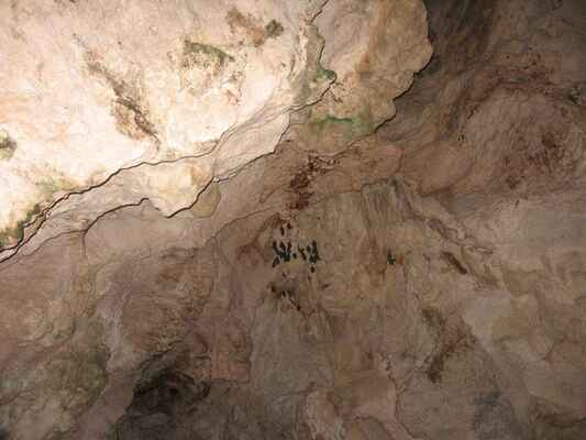 Jeskyně Cueva Arena - netopýři