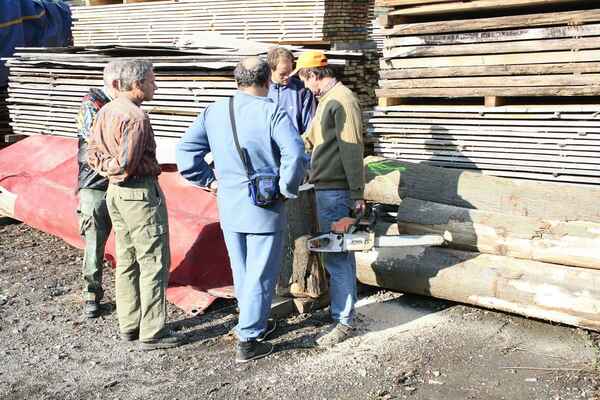 příprava materiálu na Green Woodturning (soustružení z mokrého dřeva)